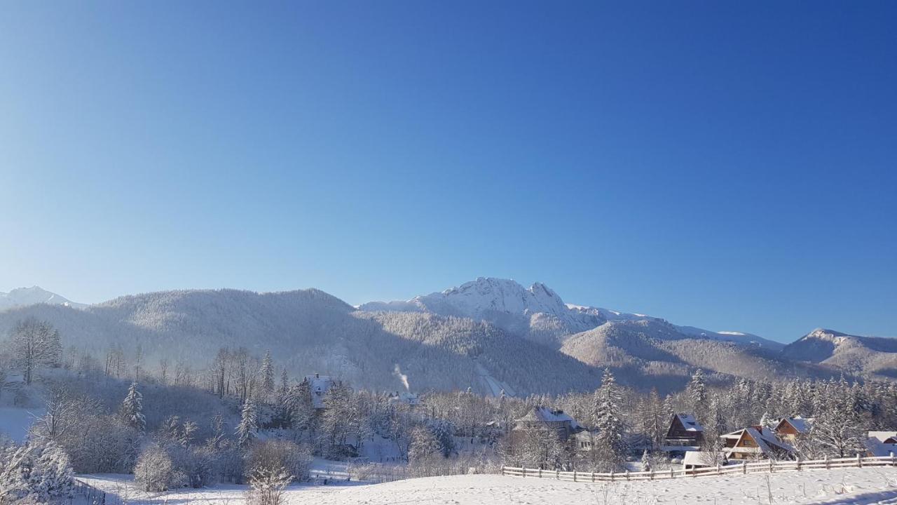 Bialy Puch Villa Zakopane Exterior photo